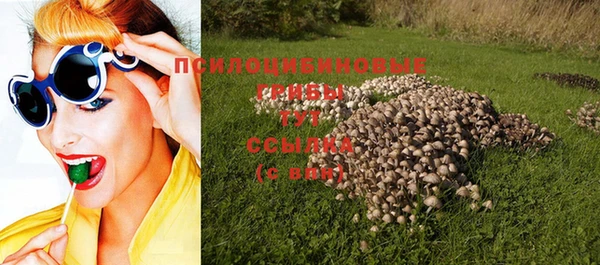 прущая мука Елизово