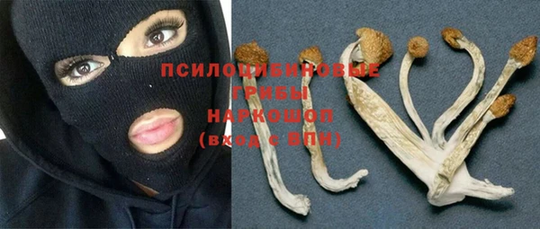 соль ск Елабуга